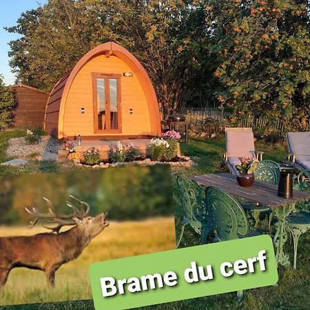 La Cabane De Tic Et Tac Ξενοδοχείο Tailles Εξωτερικό φωτογραφία