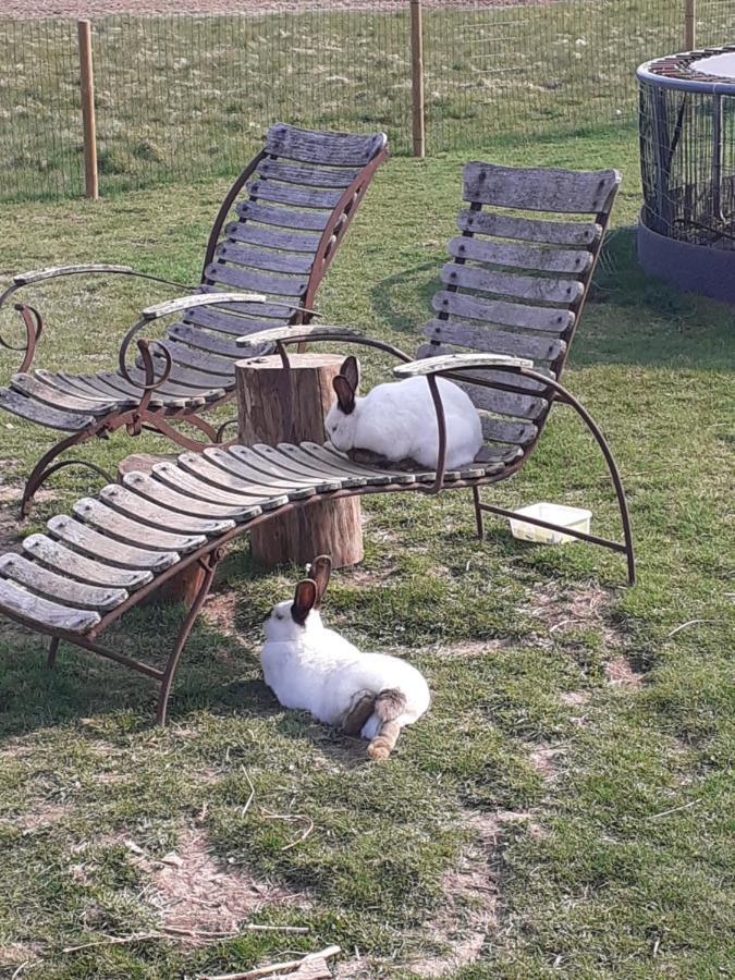 La Cabane De Tic Et Tac Ξενοδοχείο Tailles Εξωτερικό φωτογραφία