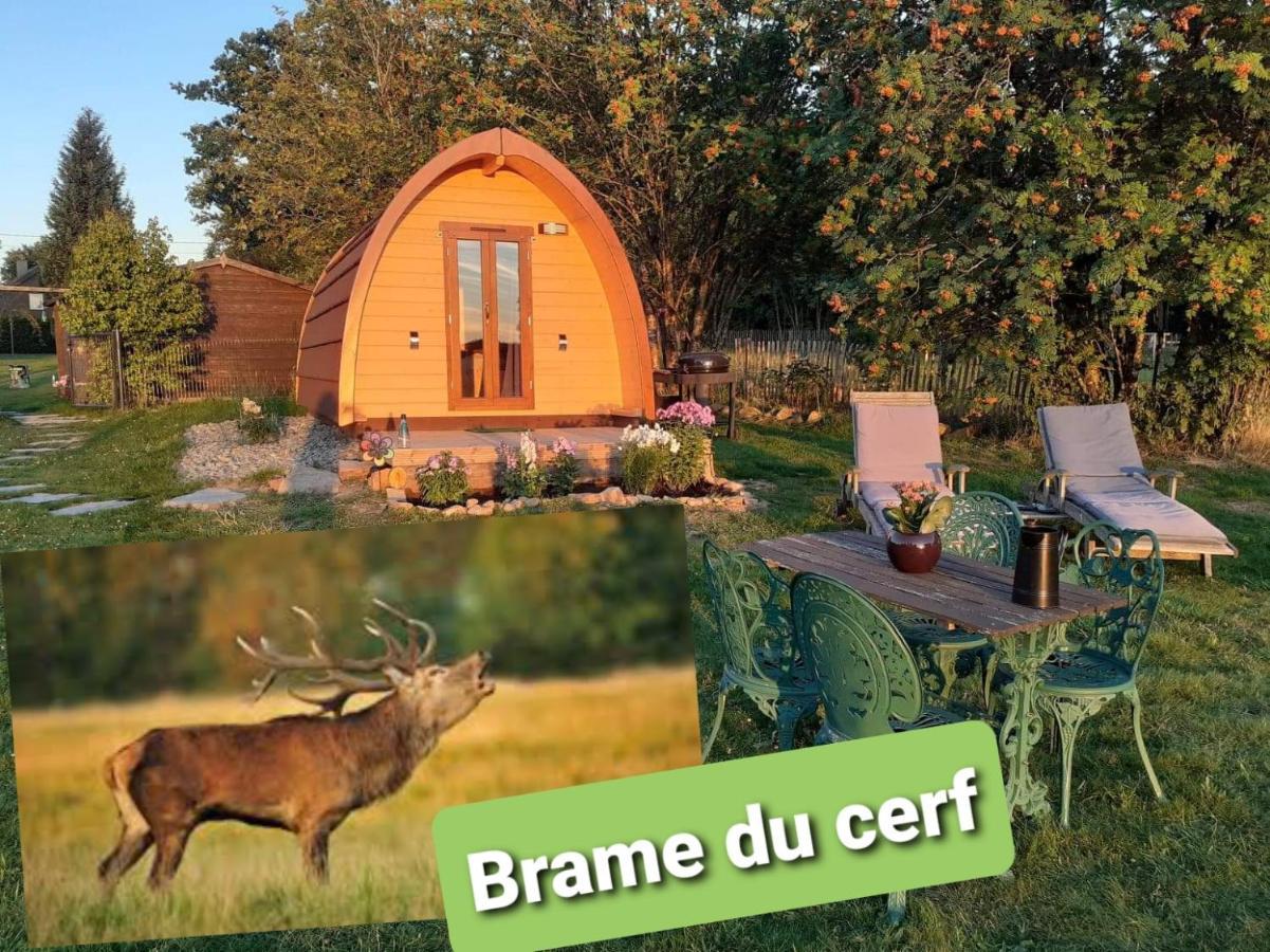 La Cabane De Tic Et Tac Ξενοδοχείο Tailles Εξωτερικό φωτογραφία